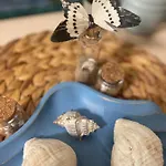 Apartment Sea Garden