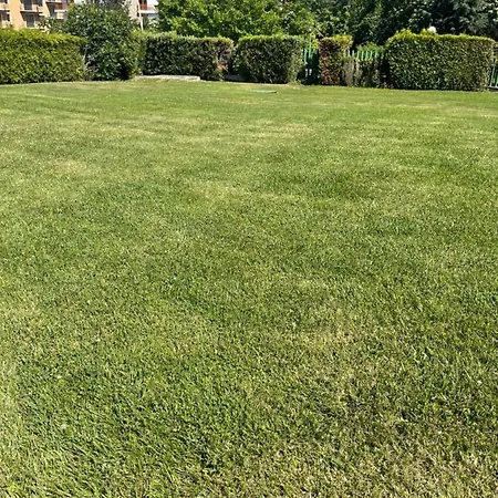 Sea Garden Sveti Konstantin